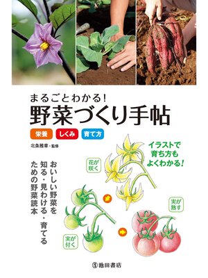 cover image of まるごとわかる! 野菜づくり手帖《栄養・しくみ・育て方》（池田書店）